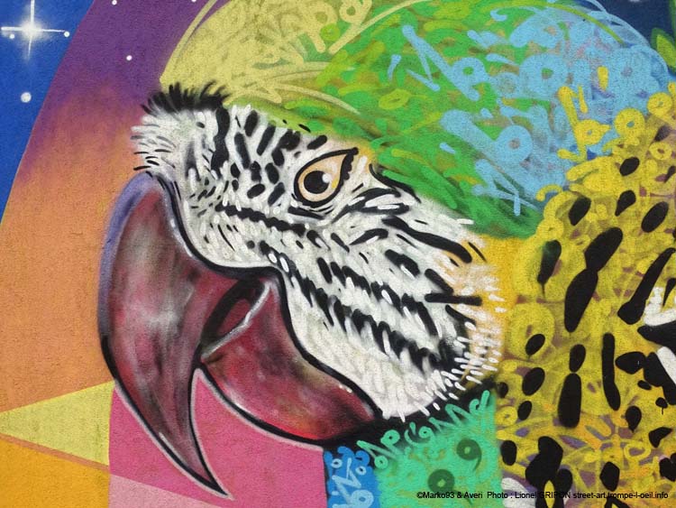 Tigre et perroquets