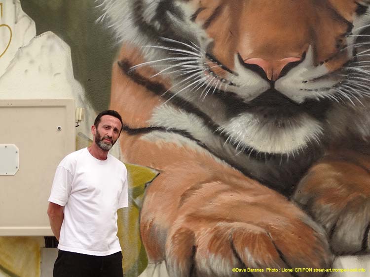 Tigre et trouée