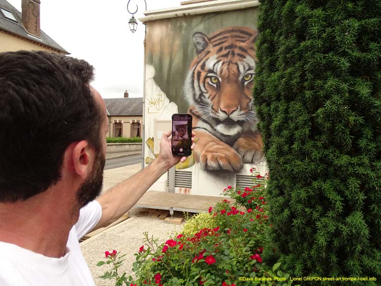 Tigre et trouée
