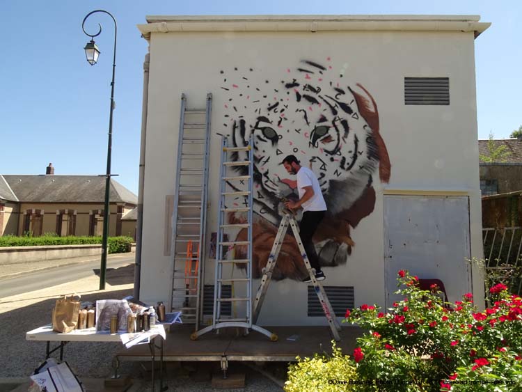 Tigre et trouée