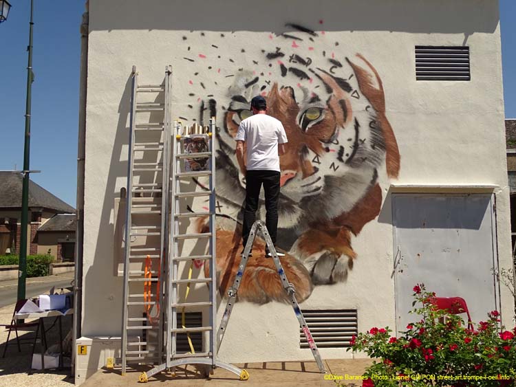 Tigre et trouée