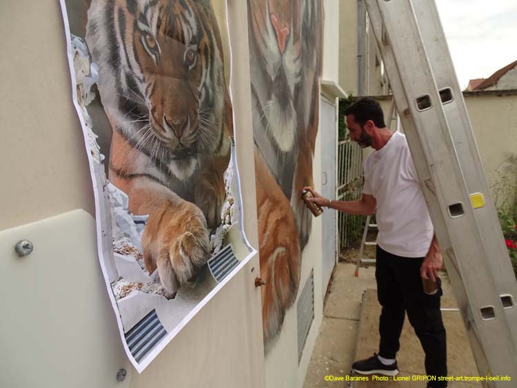 Tigre et trouée