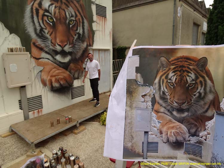 Tigre et trouée