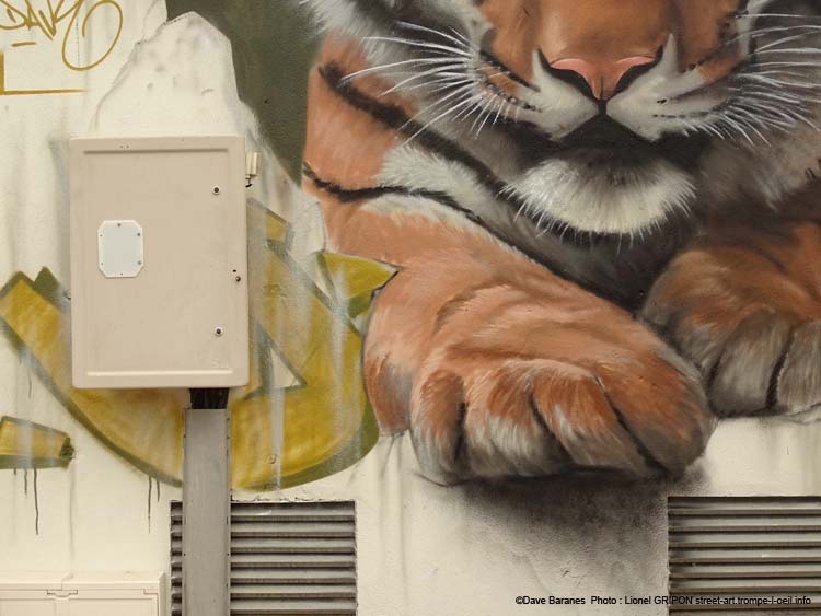 Tigre et trouée