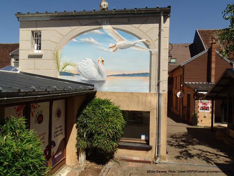 Vol de cygne
