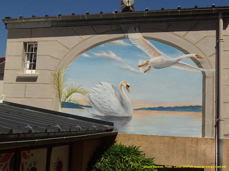 Vol de cygne