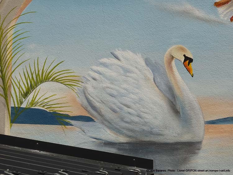 Vol de cygne