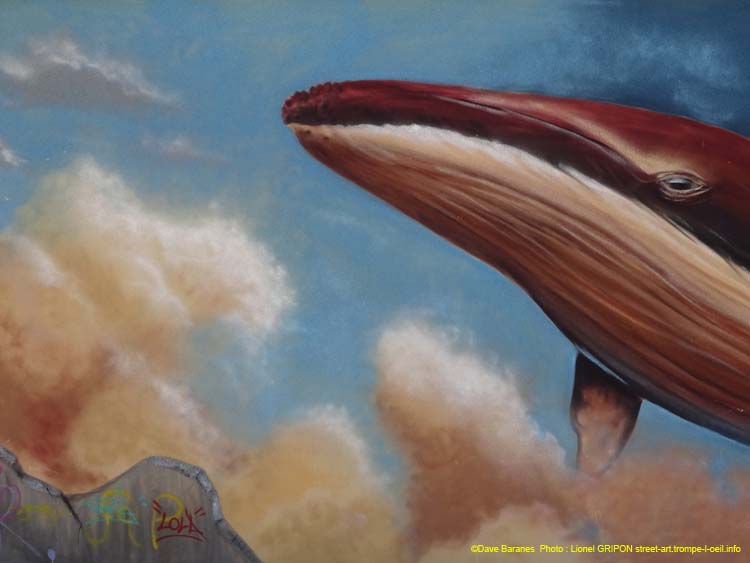 Baleine et pollution