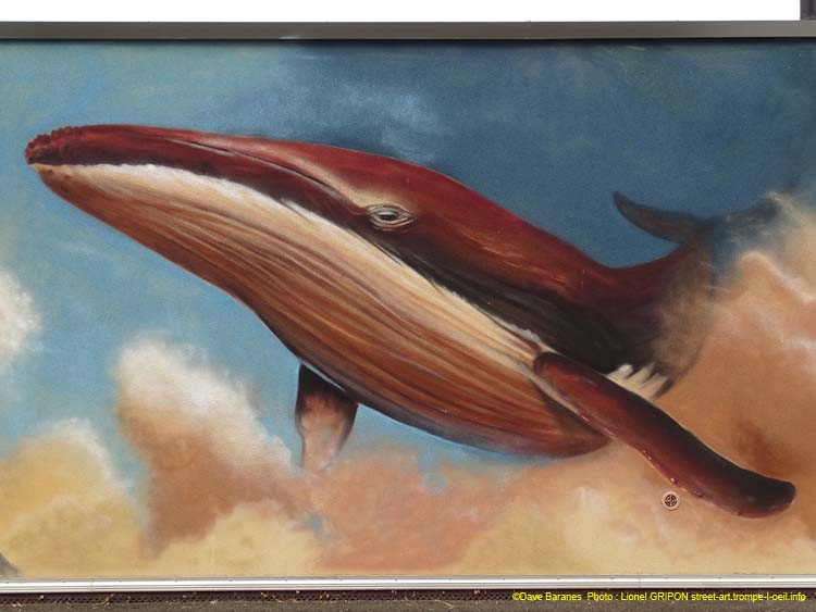 Baleine et pollution