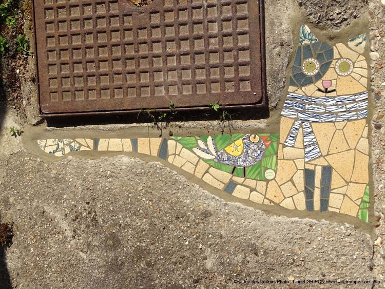 Chat et moineau