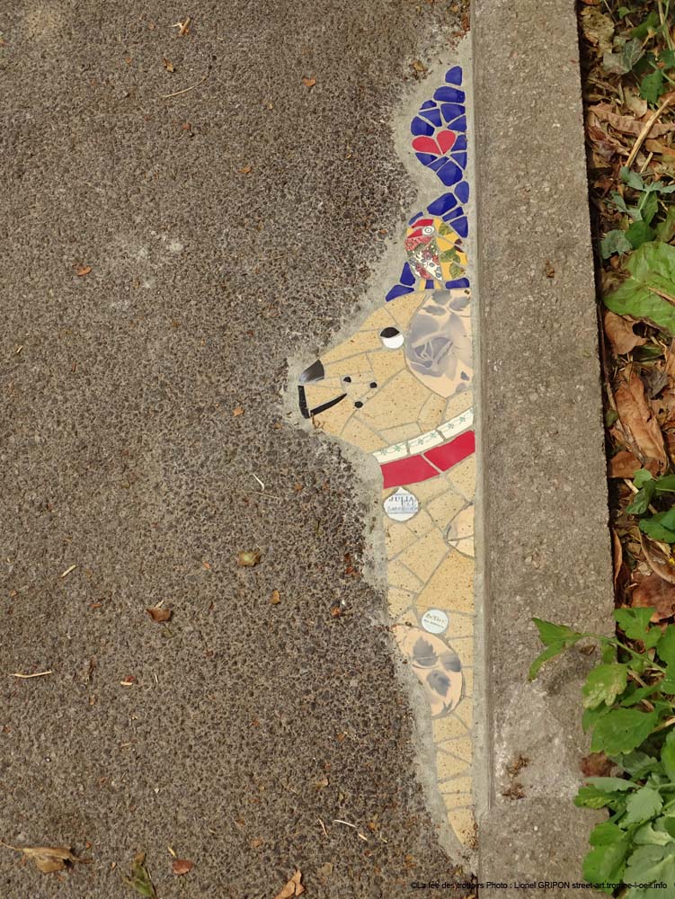 Oiseau sur chien
