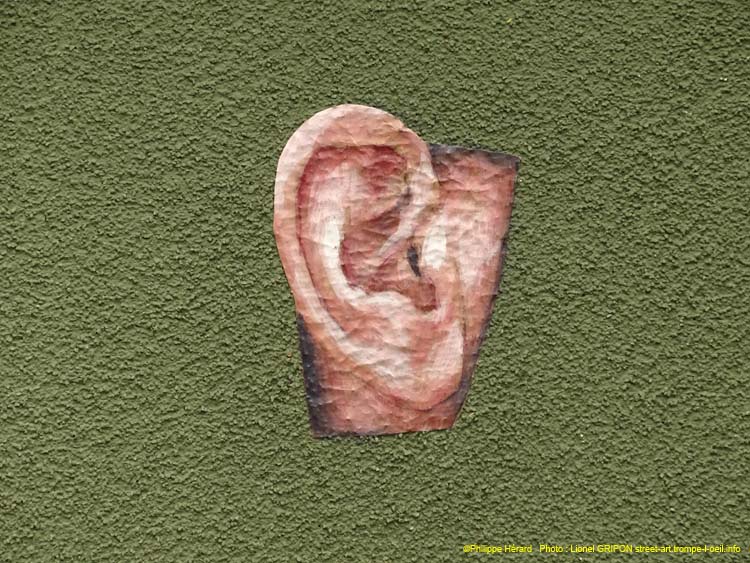 Oreille