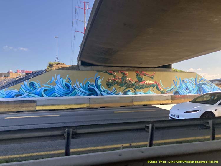 Plongeur sur le Ring-02