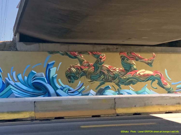 Plongeur sur le Ring-02