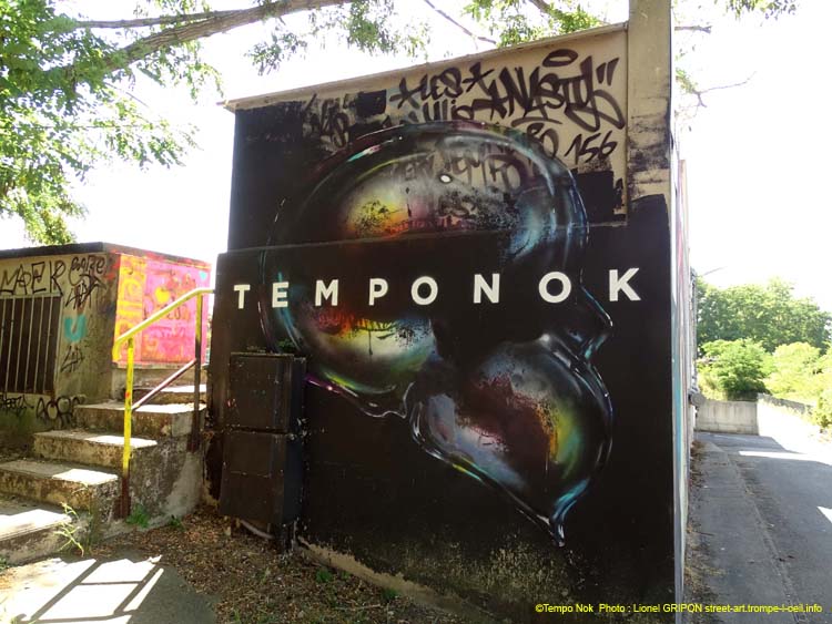 Crâne translucide-09