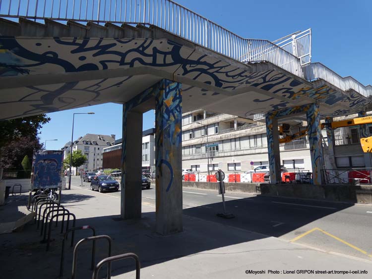 Passerelle chamarrée