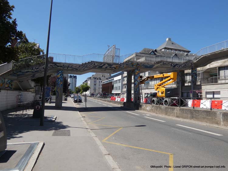 Passerelle chamarrée