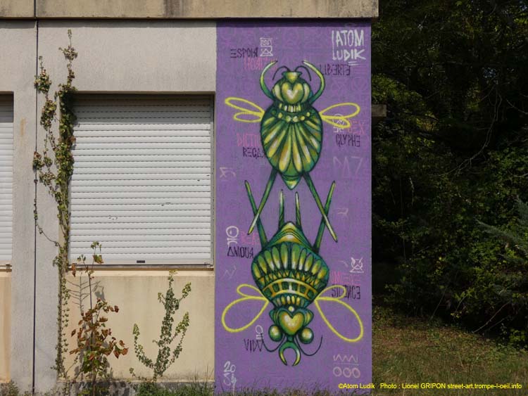 Insectes imaginaires-01