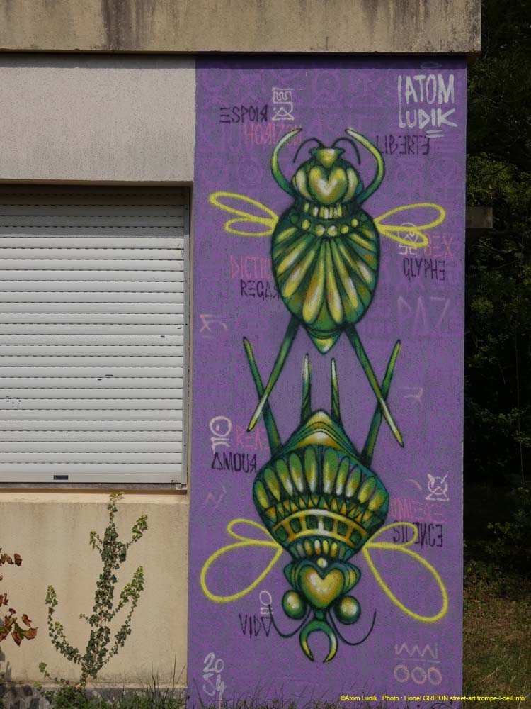 Insectes imaginaires-01