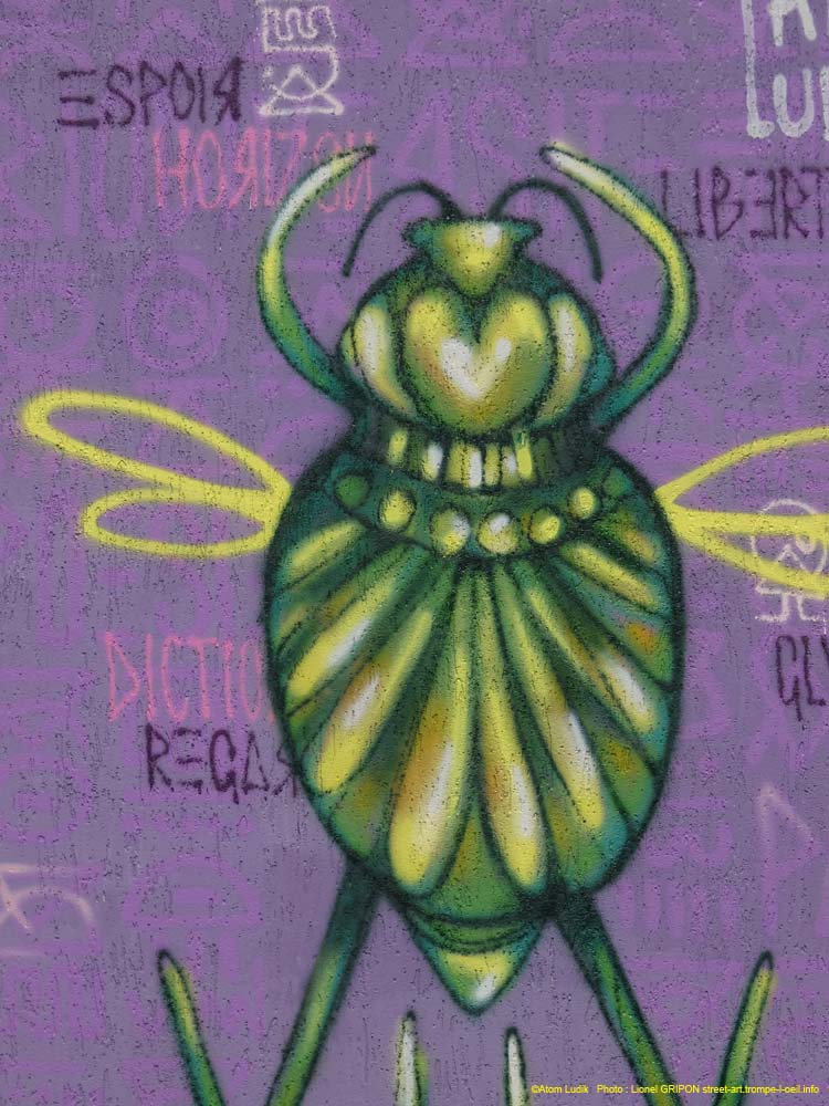 Insectes imaginaires-01