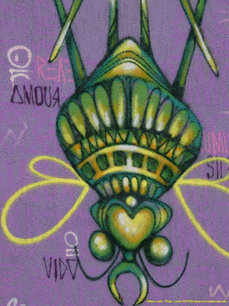 Insectes imaginaires-01