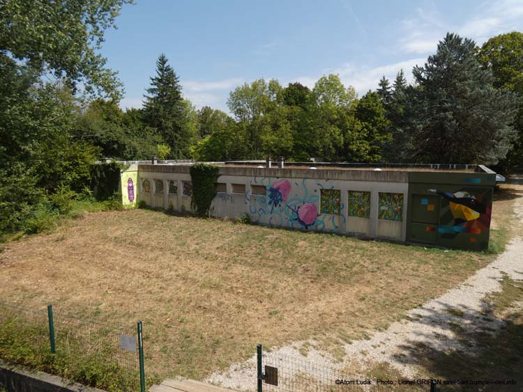 Abeilles et végétation