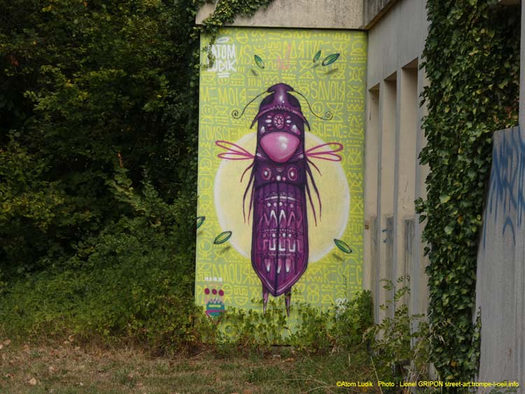 Insectes imaginaires-02