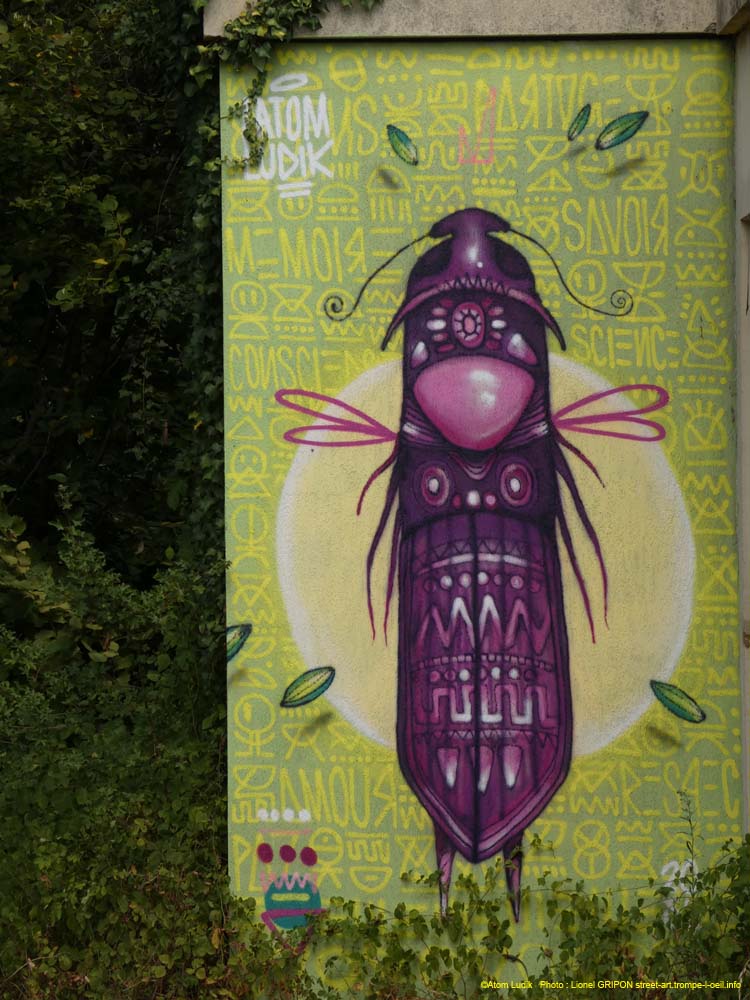 Insectes imaginaires-02