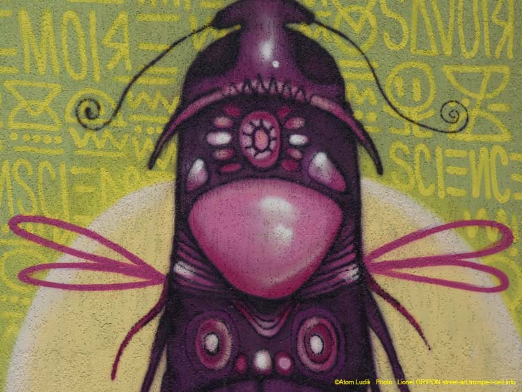 Insectes imaginaires-02