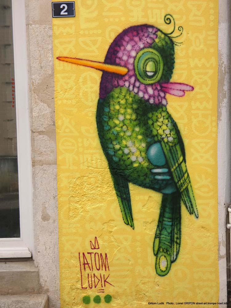 Colibri chamarré