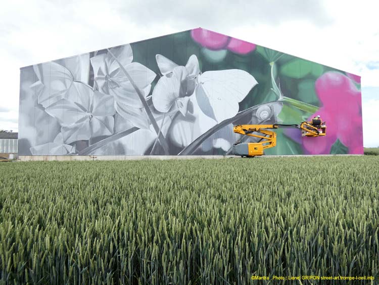 Papillon butinant