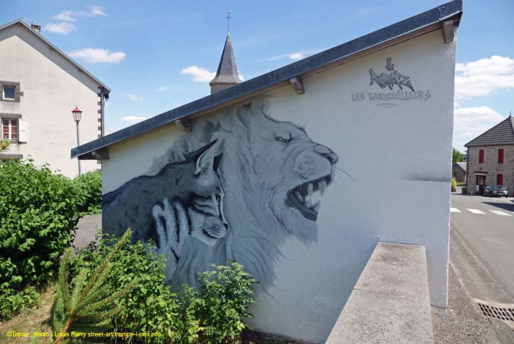 Le roi des chats