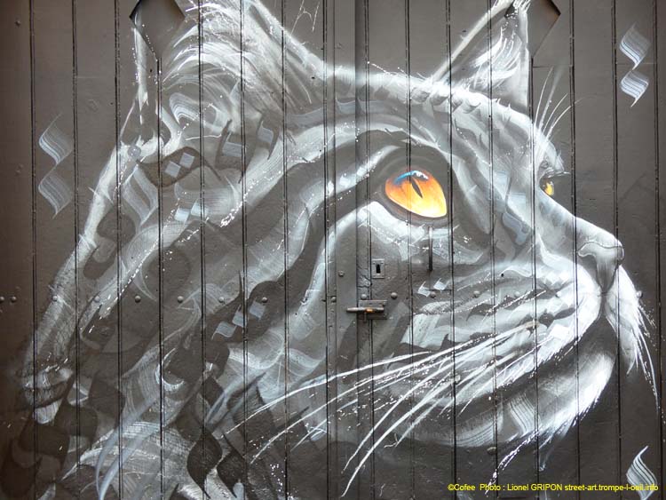Chat calligraphique