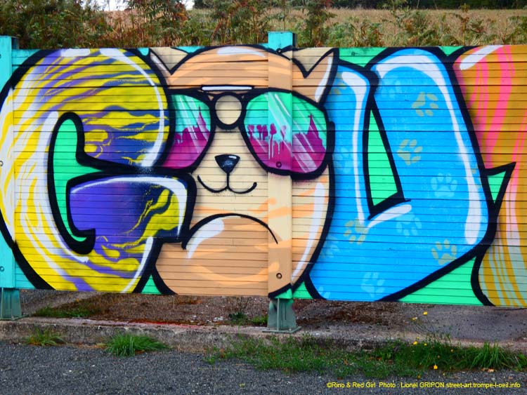 Gouttières en couleurs