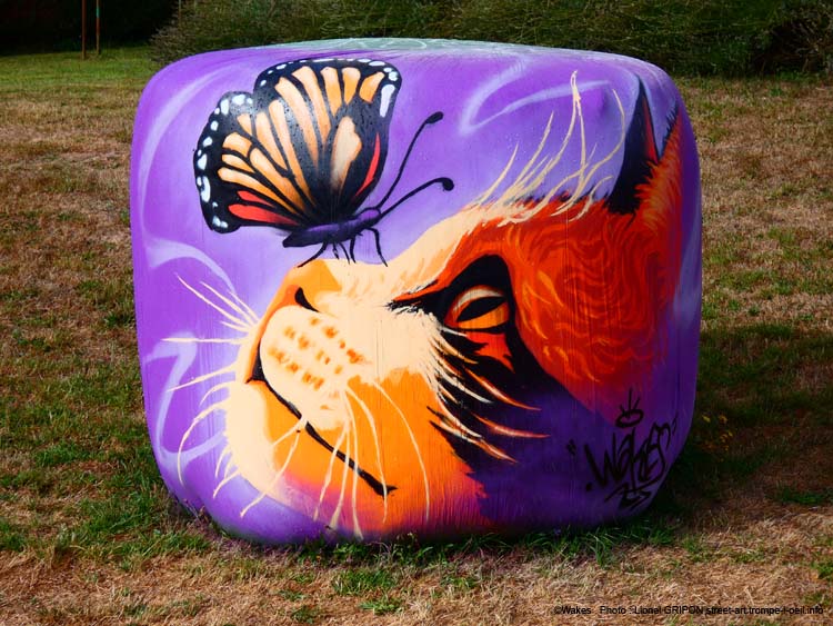 Papillon sur chat