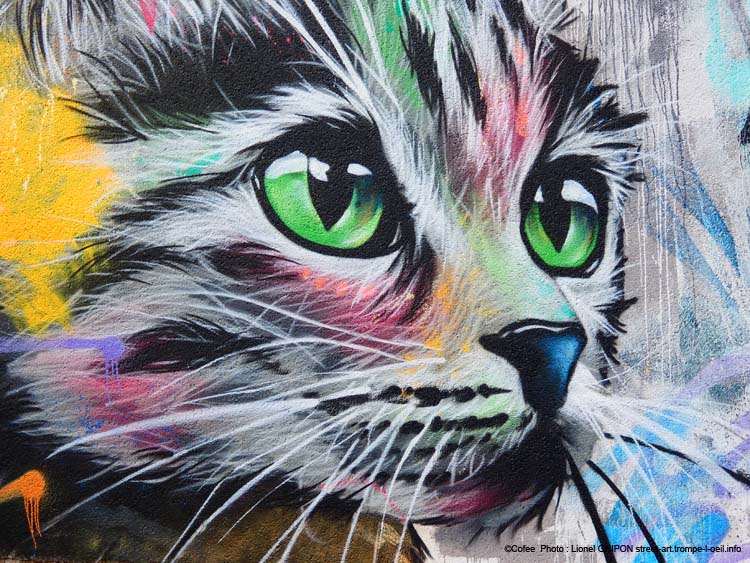 Duo de chats