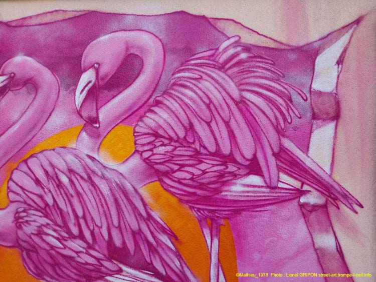 Flamants roses