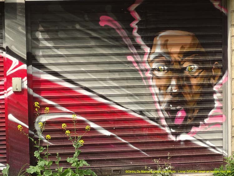 Montreuil-14