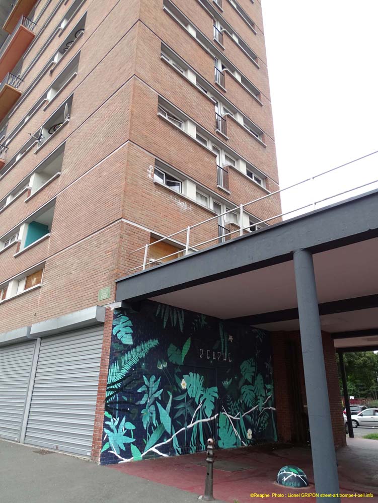 Jungle et plantes