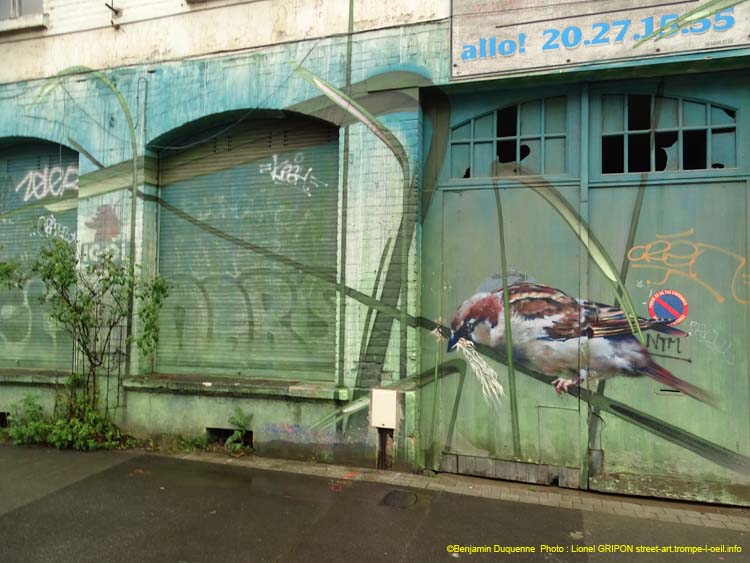 Roubaix-03
