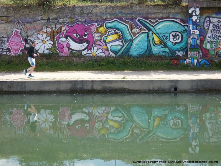 Chat et graffeur