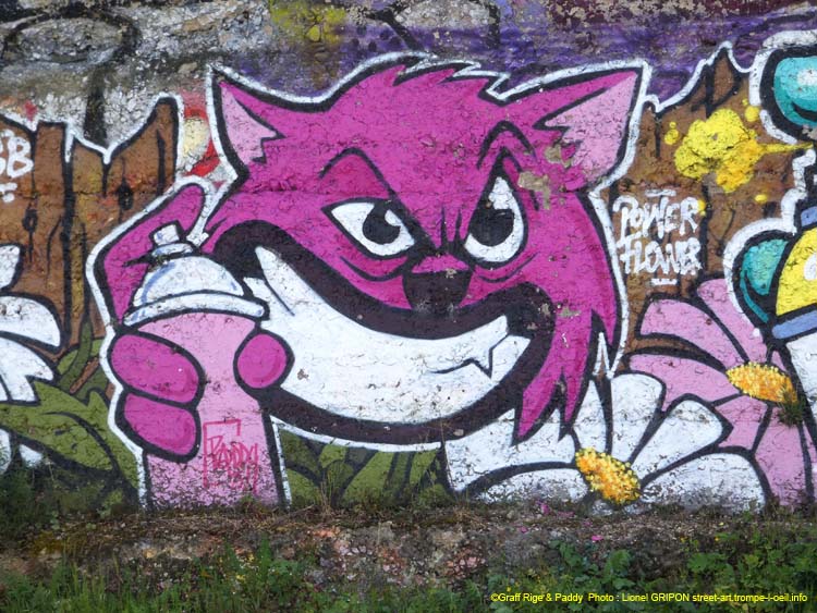 Chat et graffeur