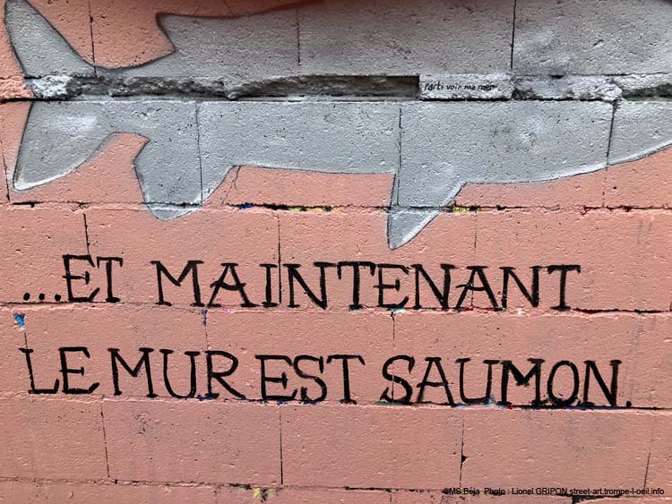 Ferme îlot-16