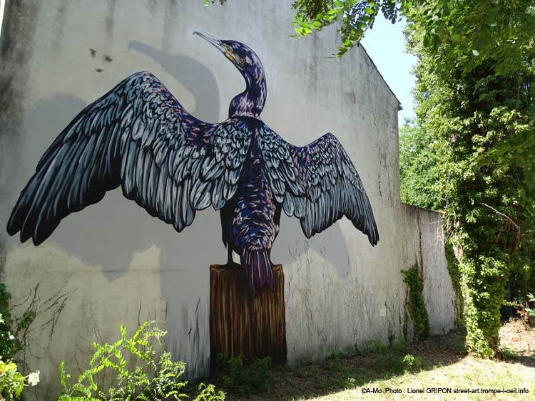 Le cormoran