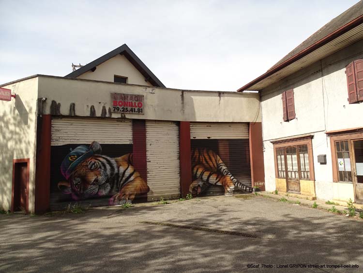 Tigre allongé