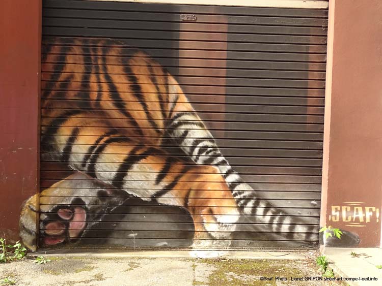 Tigre allongé