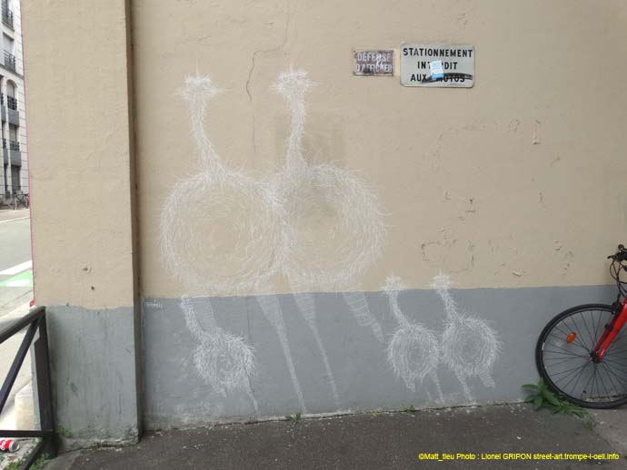 Les autruches-04