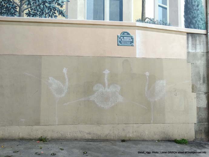 Les autruches-05