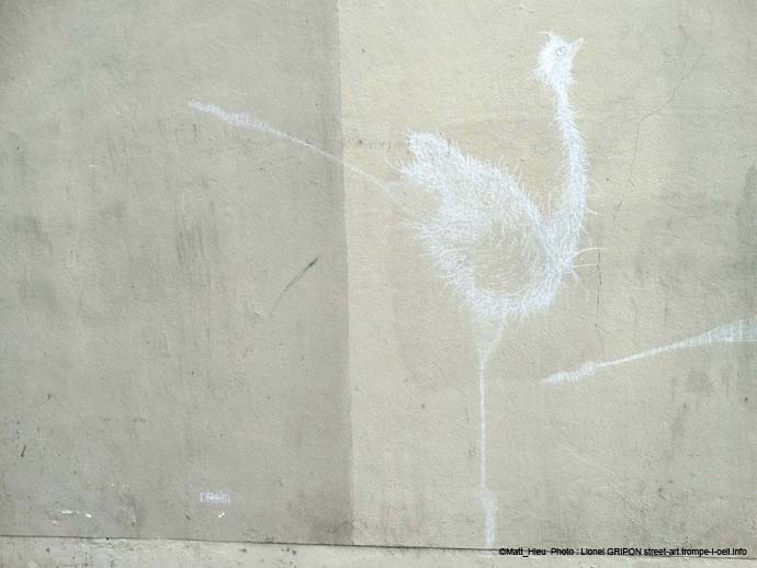 Les autruches-05