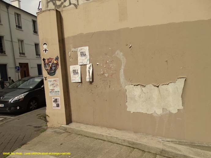 Les autruches-14